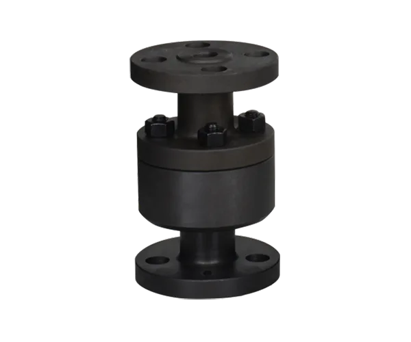 Vertical forged steel check valve