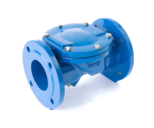 Water check valve
