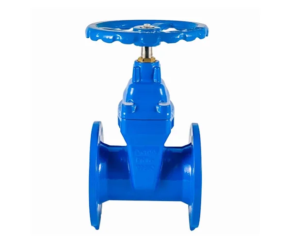 Soft seal gate valve
