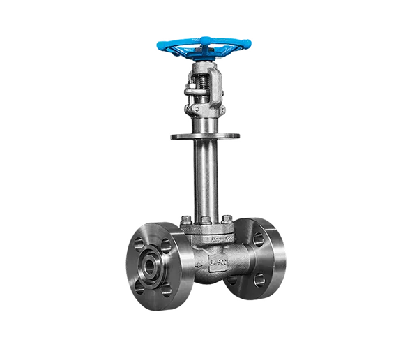 Forged steel cryogenic gate valve
