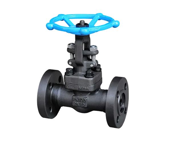 Forged steel valve