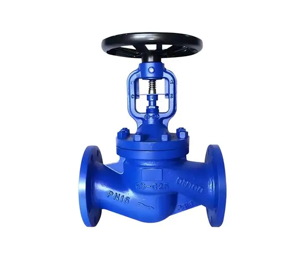 Bellows globe valve