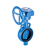 Soft seal butterfly valve