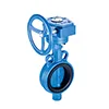 Soft seal butterfly valve