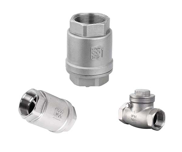 Stainless steel threaded check valve