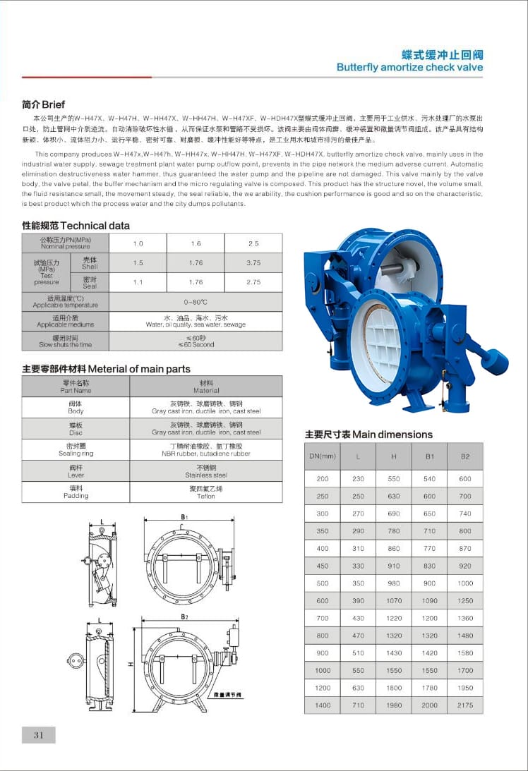 2026041104593367 Large diameter check valve