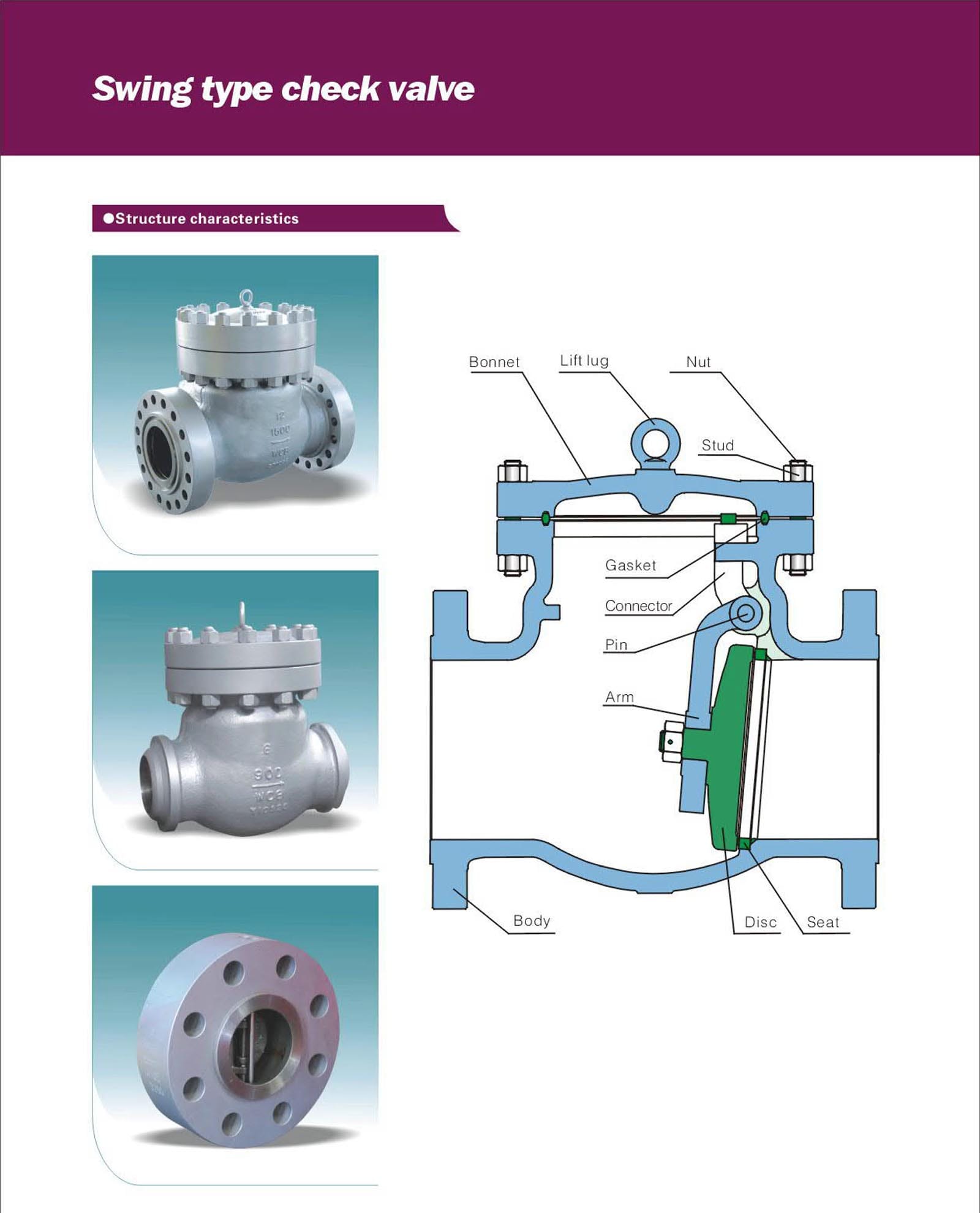 2026041105593952 steel swing check valve